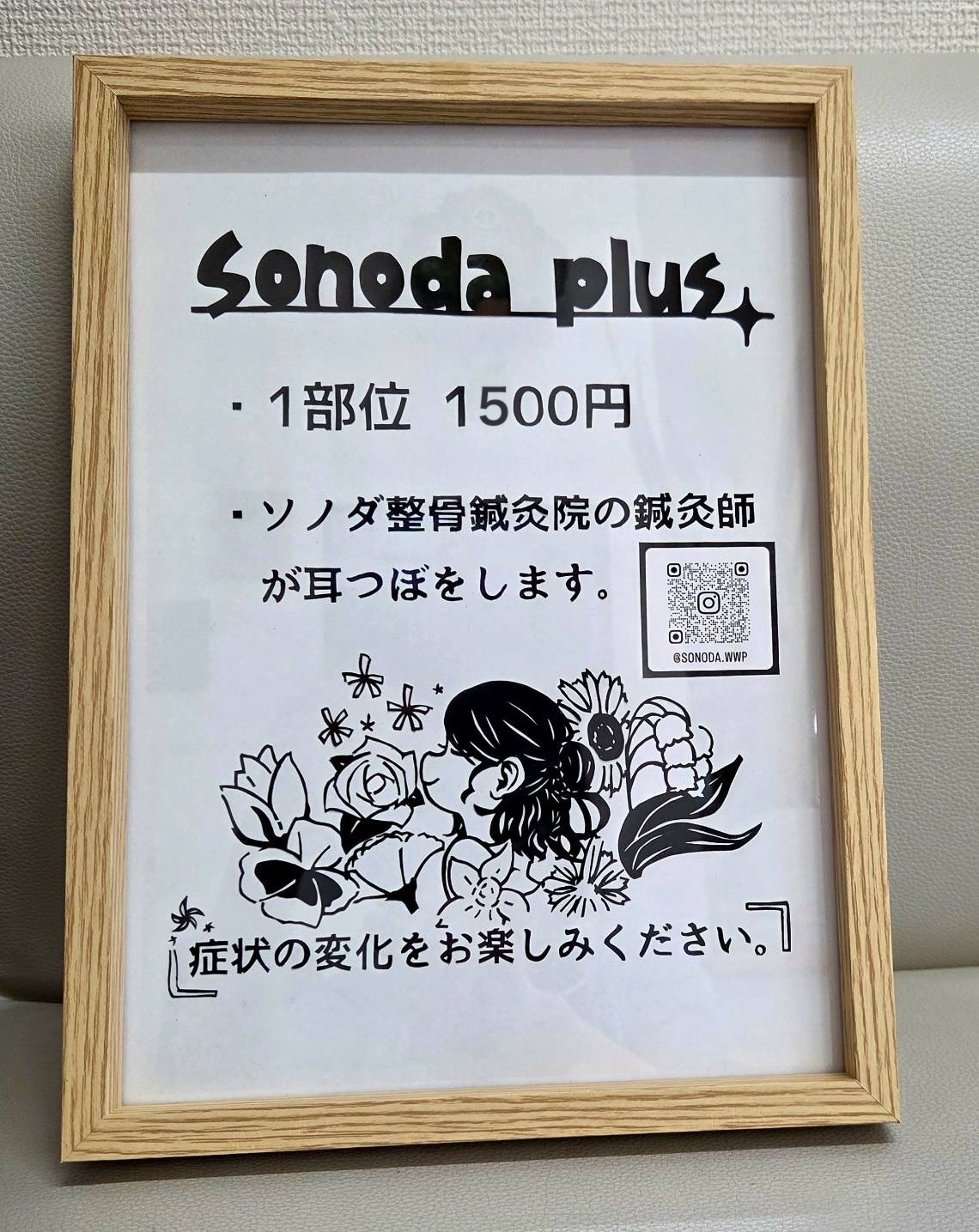 Sonoda plus 耳つぼ